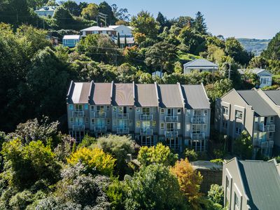 3 / 73 Buccleugh Street, North East Valley