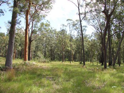 Lot 31, Osprey Place, Darawank