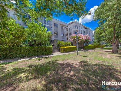 80 / 15-17 Darling Street, Barton