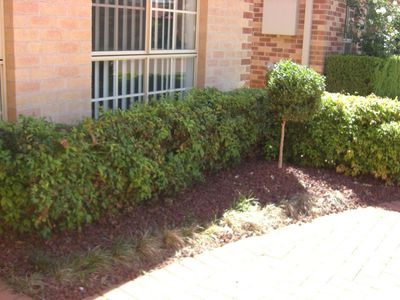 2 Todman Court, Dubbo