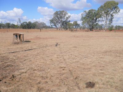 218 Reedy Creek Road, Kingaroy