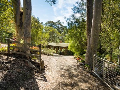 54 Tebbs Road, Narooma