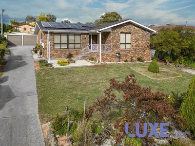 49 Hadleigh Circuit, Isabella Plains