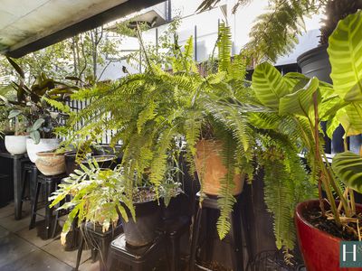 14 / 206 Lower Heidelberg Road, Ivanhoe East