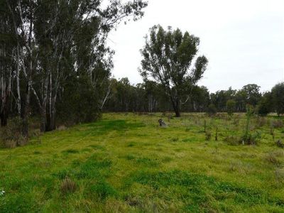 Tocumwal