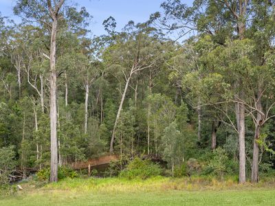 319 Mount Beerwah Road, Glass House Mountains