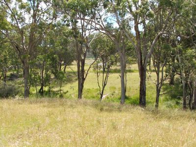Lot 351, 358 Torrington Road, Stannum