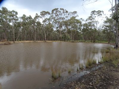 385 East Boundary Road, Murchison