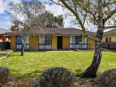 15 Commercial Avenue, Millicent