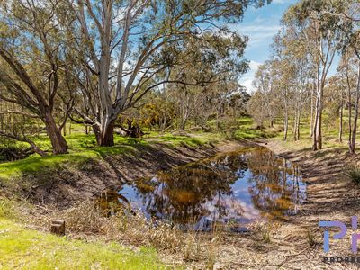 510 Spring Flat Road, Heathcote