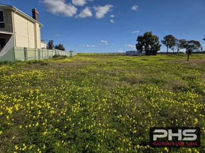 384 Gorton Drive, Mystic Park