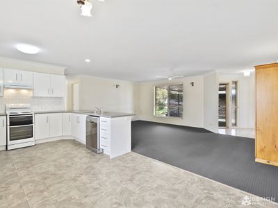 1 / 17 Bernard Street, Berserker