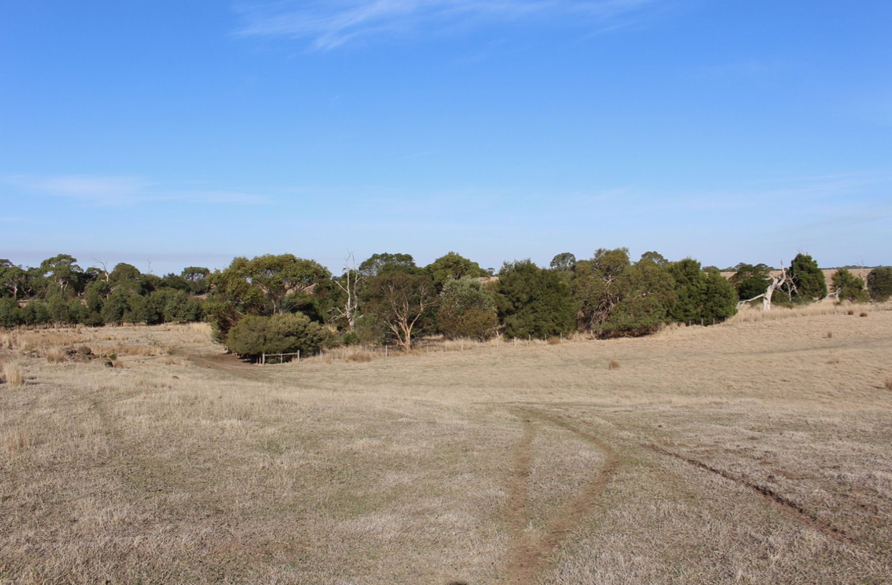 1115 Dickins Road, Freshwater Creek