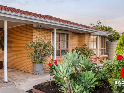 26 Whitbread Avenue, Klemzig