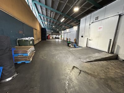 9 Midland Street, South Dunedin