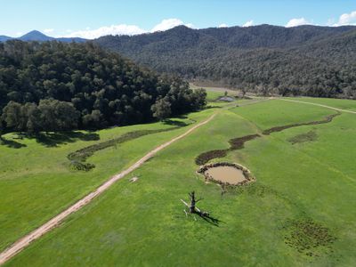 'Eastmore' 1177 Callaghan Creek Road, Mitta Mitta