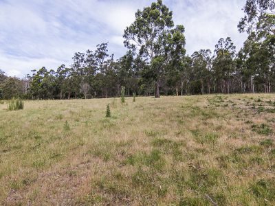 0 Walters Road, Wattle Grove