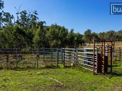 473 Switchback Road, Mudgegonga