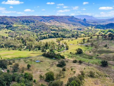 1884 Nimbin Road, Coffee Camp