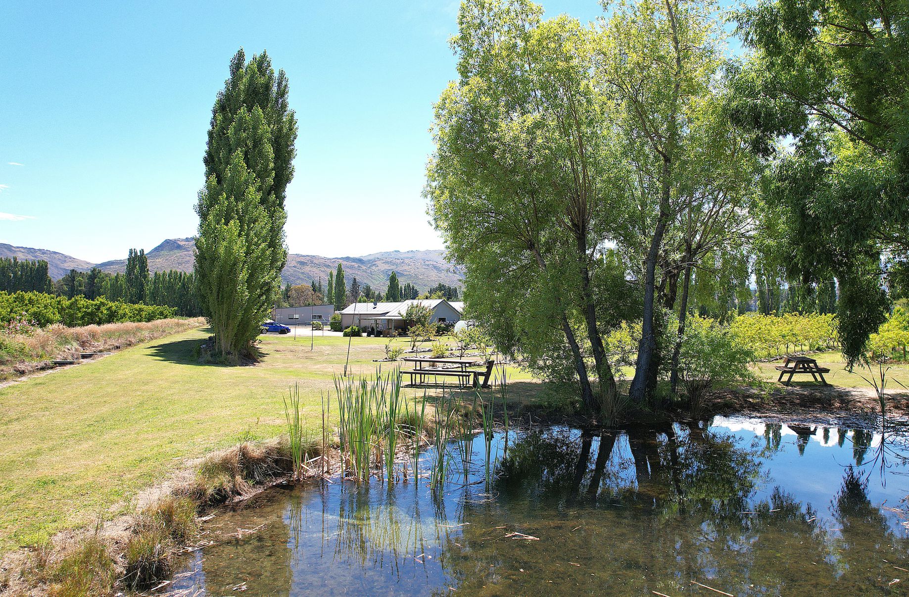 36 Eureka Road, Clyde