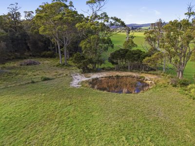 112 Back Creek Road, Pipers River