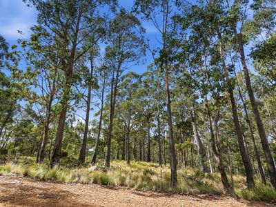 18 Little Spit Road, Lake Leake