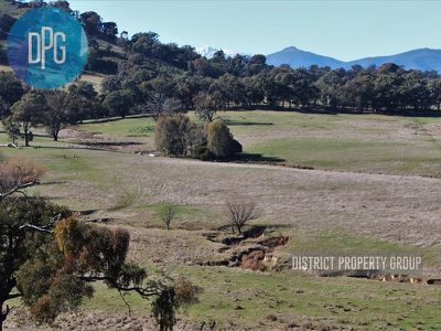 487 Old Tonga Road, Mansfield