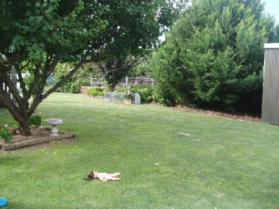 10 Hay Street, Cohuna