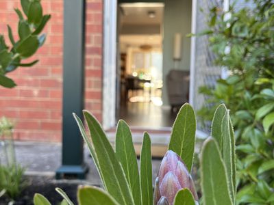 12 / 3 Mulberry Court, Magill