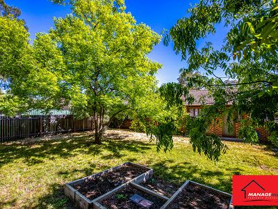 182 Dexter Street, Cook
