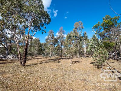 61 Catarrh Creek Road, Torrington