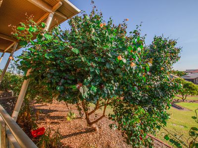 41 / 44 Counihan Crescent, Port Hedland