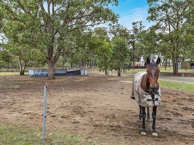123 Sawyers Gully Road, Sawyers Gully