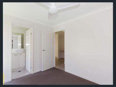 1 / 11 Essington Mews, Leichhardt