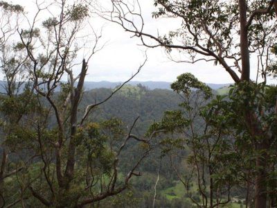 301 Harpers Creek Road, Conondale