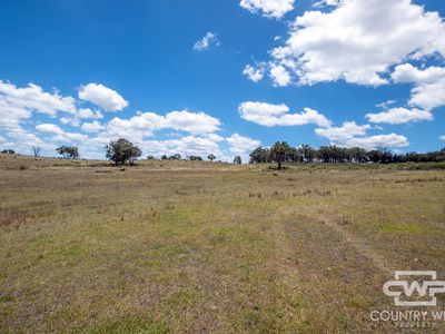 Lot 95, 2202 Wellington Vale Road, Emmaville