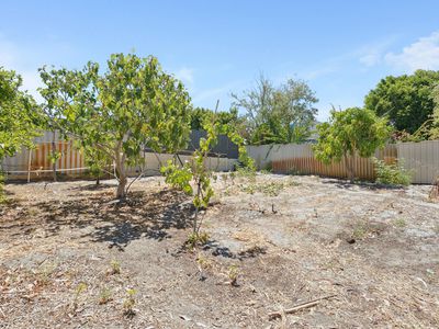 26 Dorothy Street, Ashfield