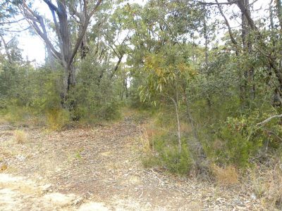 Lot 65, Sussex Inlet Road, Sussex Inlet