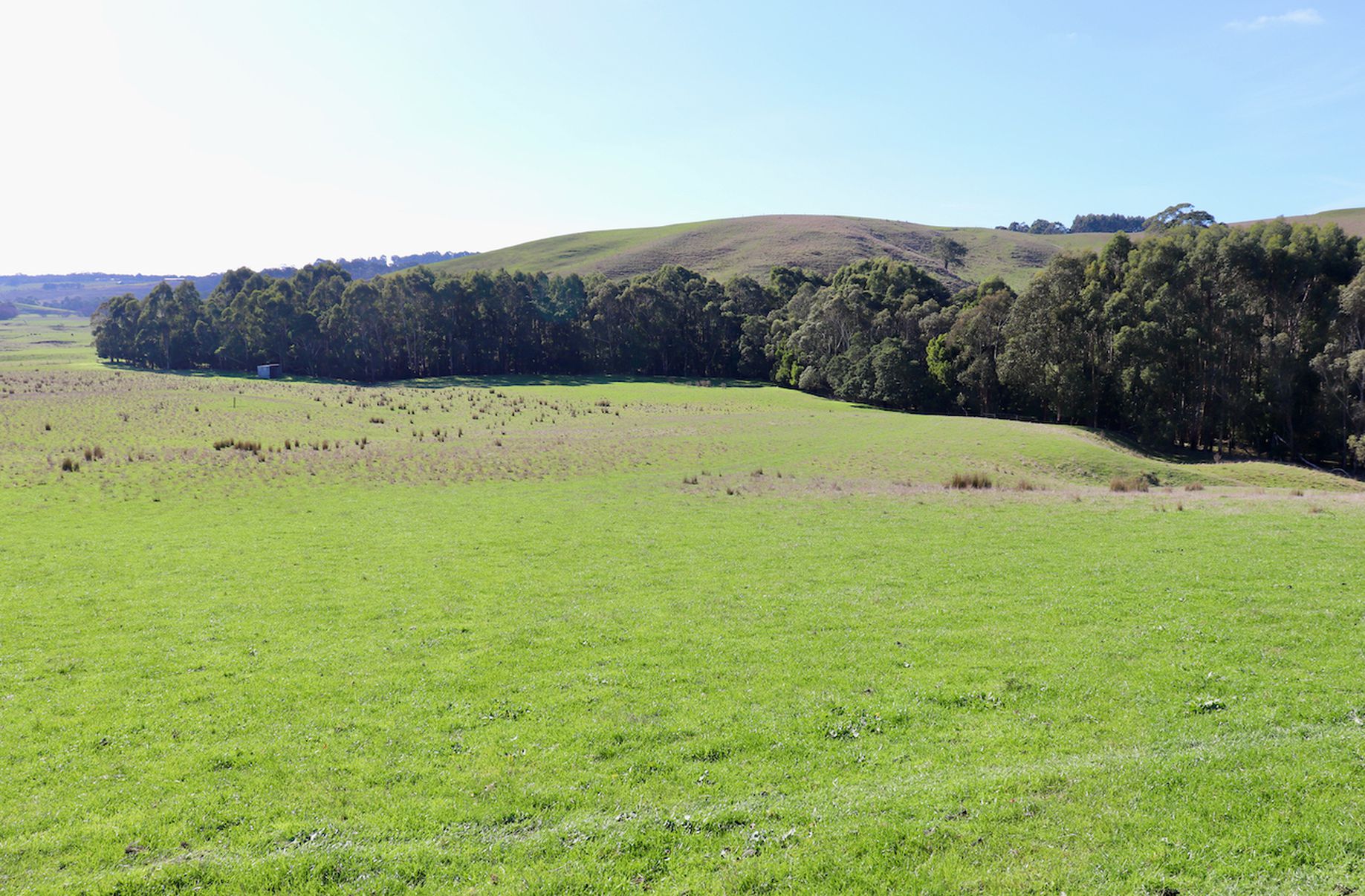 Fords Outlet Road, Deans Marsh