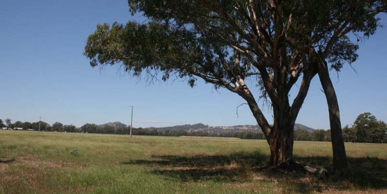 11 Dunns Lane, Euroa