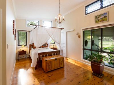Blackbutt