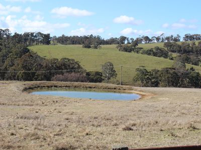 117 Diamond Swamp Road, Meadow Flat