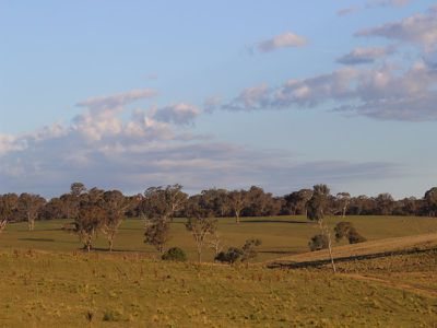 312 Bosworth Falls Road, O'connell