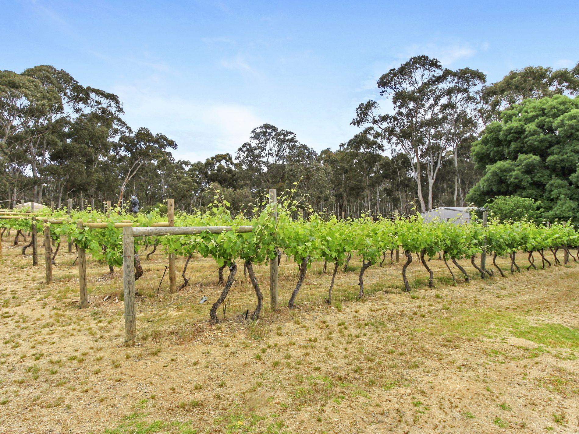 108 Warren Road, Heathcote