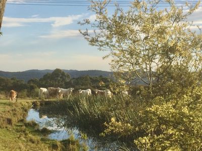 63 Ghilkes Road, Somersby