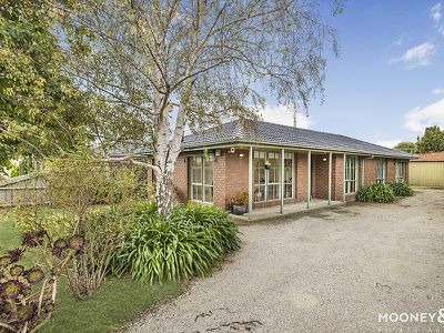 50 Taylor Street, Cranbourne