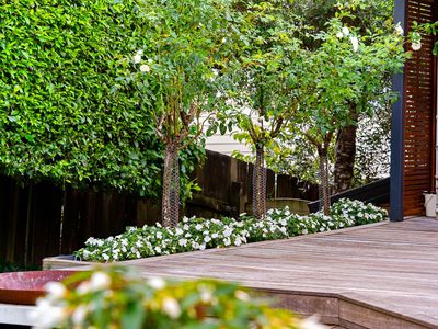 43 Braemar Road, Rothesay Bay