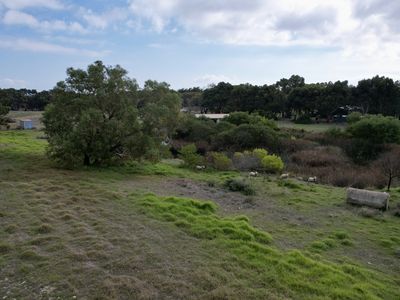 71 Ringwood Drive, Beachport