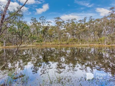 5936 Muckleford-Castlemaine Road, Muckleford