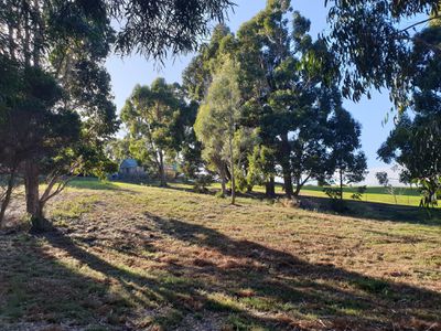 7 Amelia Street, Gordon